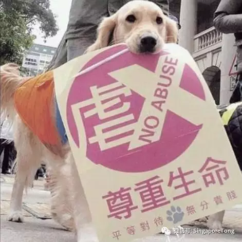 奇葩法律无处不在别怪我没提醒你j9九游会俱乐部登录入口新加坡(图4)