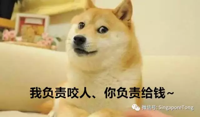 奇葩法律无处不在别怪我没提醒你j9九游会俱乐部登录入口新加坡(图10)