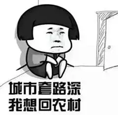 奇葩法律无处不在别怪我没提醒你j9九游会俱乐部登录入口新加坡(图16)