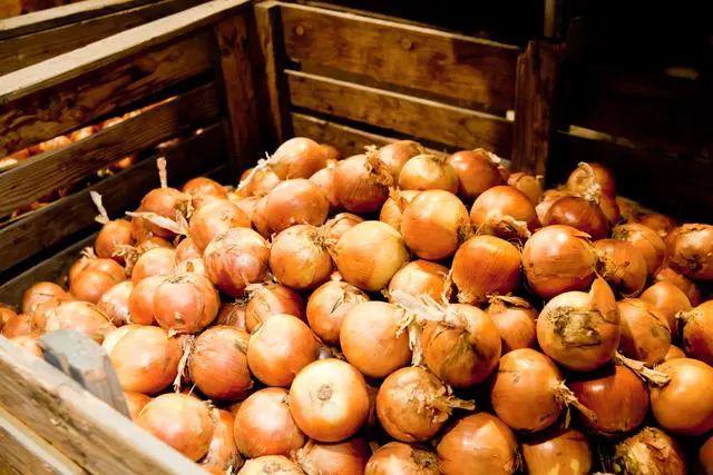 尴尬！坚持吃这6种食物能够保持口气清新九游会·j9网站交谈中口腔异味会让人(图4)