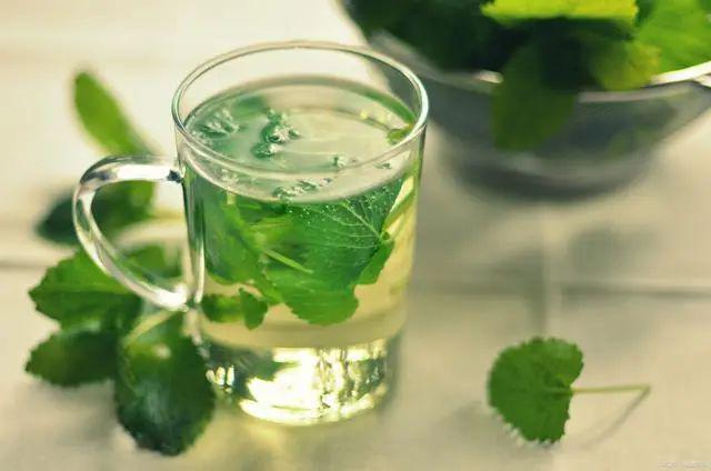 尴尬！坚持吃这6种食物能够保持口气清新九游会·j9网站交谈中口腔异味会让人(图6)